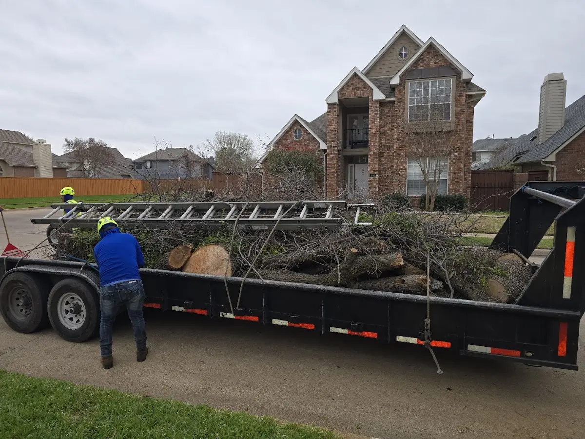 Expert Lot Clearing with proper safety equipment in Whitetail